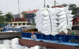 Việt Nam xuất gần 4 triệu tấn gạo đi đâu trong 7 tháng đầu năm?