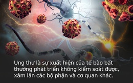 Loại ung thư mà "người giàu" và "người nghèo" dễ mắc nhất là gì? Câu trả lời sẽ khiến bạn phải thay đổi thói quen sống gấp