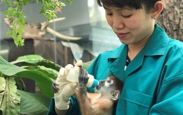 Hơn 300 nhân viên Thảo Cầm Viên Sài Gòn đồng lòng giảm 30% lương, vườn thú 156 tuổi kêu gọi sự ủng hộ từ cộng đồng