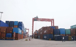 Mỗi năm các cảng đánh đề online 789bet Việt Nam thất thu 1 tỷ USD phí bốc dỡ container