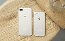iPhone XS Max, iPhone 11, iPhone SE 2020... đồng loạt rớt giá mạnh
