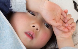 Trẻ 13 tuổi nguy kịch vì sốt xuất huyết ở Trà Vinh: 4 trường hợp nhất định bố mẹ phải đưa con đi viện