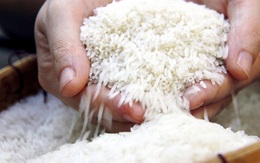 Không có cơ sở khẳng định 90% người dân ăn “gạo bẩn”