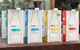 Thu hồi sữa hạnh nhân Milk Lab 1L do có khả năng bị nhiễm khuẩn: Vi khuẩn này nguy hiểm cho sức khỏe thế nào?
