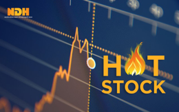 Một cổ phiếu tăng 130% sau hơn một tuần