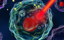 Các nhà khoa học "teleport" nano vàng vào tế bào ung thư và tiêu diệt chúng từ bên trong