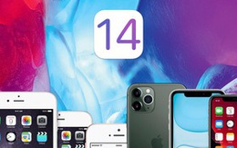 iPhone 6S và iPhone SE có nên cập nhật iOS 14?