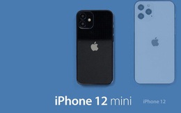 Lộ tên gọi của 4 mẫu iPhone 12 sắp ra mắt: Model nhỏ nhất sẽ có tên là 'iPhone 12 mini'