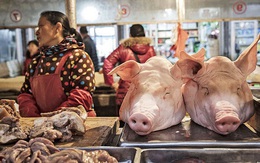 Dự báo kho dự trữ thịt lợn bí mật của Trung Quốc sắp cạn kiệt, chỉ còn "trụ" được 3 tháng
