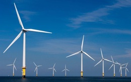 Đề xuất gia hạn giá FIT điện gió tới hết năm 2023