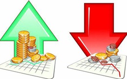 VnIndex chỉ mất 4 điểm trong bối cảnh ngành tài chính toàn cầu biến động mạnh
