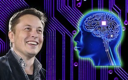 Nếu gặp khó khăn trong việc tiếp thu kiến thức mới, hãy thử áp dụng 2 quy tắc sau của nhà tỷ phú Elon Musk để "học đâu nhớ đó"