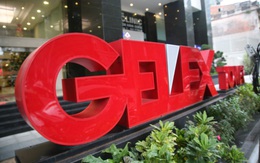 Gelex thông qua nghị quyết thế chấp cổ phần Viglacera để đảm bảo nghĩa vụ vay của Gelex Electric