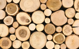 Quy định mới về quản lý gỗ nhập khẩu, xuất khẩu có hiệu lực từ 30/10