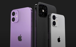 iPhone 12 6,1 inch sẽ được Apple bán ra trước, iPhone 12 5,4 inch và 6,7 inch sẽ trễ hẹn