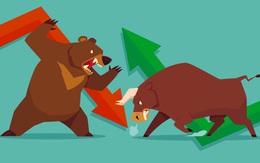 Cầu bắt đáy tăng mạnh, VN-Index hồi phục về sát mốc 890 điểm