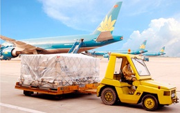 Noibai Cargo (NCT) chốt quyền nhận cổ tức đợt 1/2020 bằng tiền tỷ lệ 30%