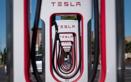 Giới bán khống cổ phiếu Tesla mất trắng 38 tỷ USD trong năm 2020
