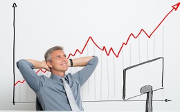 60% số cổ phiếu niêm yết HoSE chiến thắng VN-Index trong năm 2020