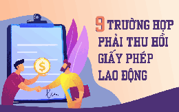 Infographic: Trường hợp nào phải thu hồi giấy phép lao động ?