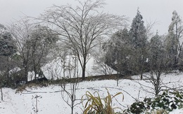 Cận cảnh tuyết rơi trắng xóa tại Y Tý, Sa Pa