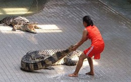 8 nghề "việc nhẹ lương cao" nhưng chẳng ai dám làm: Minh chứng cho câu điều gì cũng có cái giá của nó