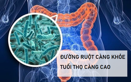 Hệ tiêu hóa khỏe hay yếu ảnh hưởng lớn tới tuổi thọ, đáng tiếc là rất nhiều người duy trì 4 thói quen ăn cực có hại cho đường ruột này