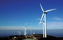 Cà Mau khởi công dự án điện gió 10.000 tỷ đồng