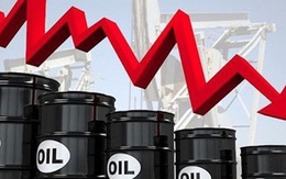 Nhập khẩu xăng dầu năm 2020 giảm mạnh