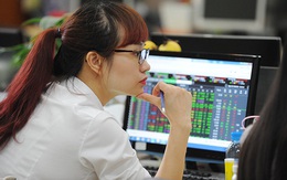 Thị trường bất ngờ giảm sâu, định giá chứng khoán Việt Nam trở nên hấp dẫn