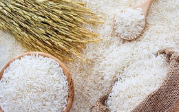 Giá gạo Việt Nam vượt đỉnh 9 năm, gạo Ấn Độ và Thái Lan vẫn cao nhất nhiều tháng