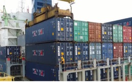 Không thể trông vào 3.000 container vô chủ để “lấy nguồn” container rỗng cho xuất khẩu