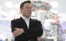 Kiếm được nhiều tiền hơn bất kỳ tỷ phú nào trên thế giới, Elon Musk hưởng lợi nhiều nhất trong nhiệm kỳ của ông Trump