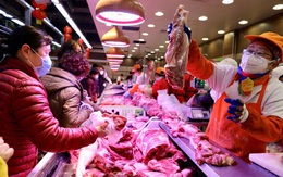 Giá thịt lợn Trung Quốc tăng trở lại