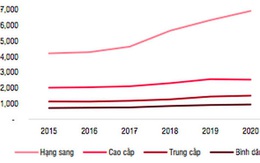 Giá nhà 2021 tăng do chủ đầu tư găm hàng kìm nguồn cung?