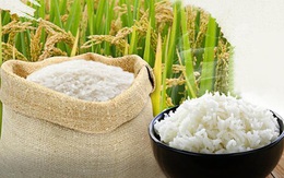 Covid-19 gây tổn thương các thị trường gạo, tấm và ngô đến mức nào?