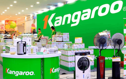 Lợi nhuận của Kangaroo tăng gấp đôi trong năm COVID-19