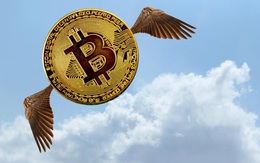 Tiền lại đổ vào Bitcoin đẩy giá tăng vọt lên trên 31.000 USD