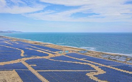 Nhà máy năng lượng mặt trời Phù Mỹ hòa lưới điện quốc gia