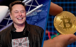 Elon Musk đã khiến giá bitcoin tăng chóng mặt