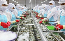 Việt Nam đặt mục tiêu dẫn đầu thế giới về sản xuất và xuất khẩu thủy sản