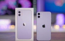 iPhone 11 xả kho, giảm giá “sốc” 5 triệu đồng trong ngày đầu năm