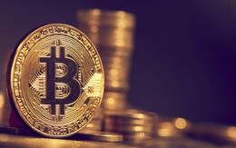 Giá Bitcoin vượt 36.000 USD, chưa biết đâu là đỉnh