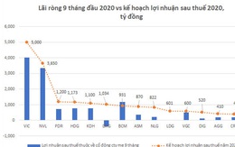 Một loạt ông lớn bất động sản có khả năng vượt kế hoạch lợi nhuận 2020