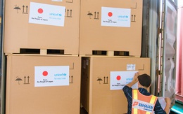 Việt Nam tiếp nhận 300 tủ lạnh bảo quản vaccine do Nhật tài trợ