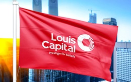 Đang bị UBCK thanh tra, Louis Capital (TGG) tiếp tục biến động lãnh đạo HĐQT