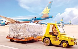 Bất chấp ngành hàng không lao đao Covid-19, lợi nhuận 9 tháng của Noibai Cargo (NCT) vẫn tăng 9% lên 169 tỷ đồng