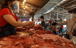 Khủng hoảng thừa thịt lợn: Cần quy định giá bán lợn hơi