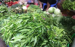 Trời mưa giá rau ở Hà Nội "tăng phi mã", rau muống 24 ngàn/mớ