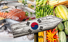 6 doanh nghiệp thực phẩm Việt không đáp ứng được điều kiện khi “qua cửa” Hàn Quốc